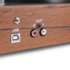 RP106W唱片玩家木材