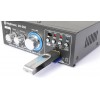 AV360迷你功放SD/USB/MP3