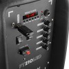 FT210LED便携式音响系统2x 10
