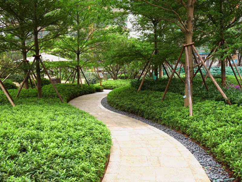 養護成果展示